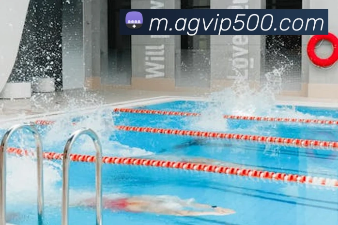 500彩票平台生态图